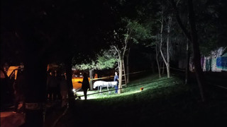 İstanbul'da bir kişi ağaca asılı halde ölü bulundu