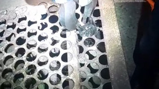 Mazgaldan kurtarıp, adını da Mazgal koydular!