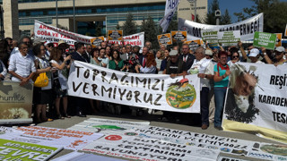 Zeytinlikleri talan edecek madencilik yasası AYM'ye taşındı!