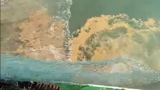 Masmavi cennetlerimizi cehenneme çeviren mide bulandıran kabus geri döndü!