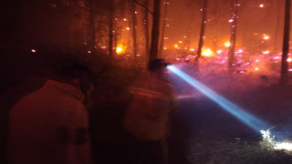 Muğla'da 7 ayrı noktada 7 orman yangını: Onlarca ev boşaltıldı, 200'e yakın tahliye var!