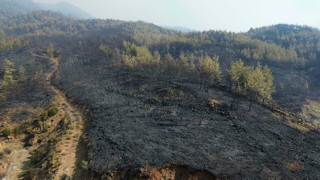 Maviyle yeşilin buluştuğu Türkiye'nin cenneti orman yangınında kömür karasına döndü!