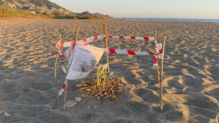 Türkiye'nin bu eşsiz güzelliğini kopararan yüzbinlerce TL cezaya çarptırılacak!