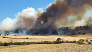 Çanakkale'de bir orman yangını daha: Ezine yanıyor!