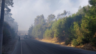 Antalya'da orman yangını