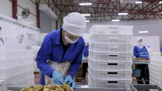 Türkiye'nin bir gıda devi daha konkordato başvurusunda bulundu