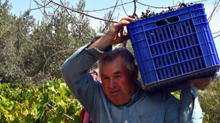 Trakya'nın eşsiz lezzetinin ünü ABD'ye kadar yayıldı...