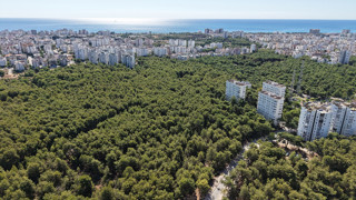 Türkiye'nin yarım asırlık arazi davası: 5 milyar dolar değer biçildi!