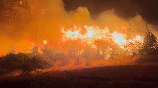 Bursa'da kabus gecesi: Alevler yerleşim yerlerine kadar ulaştı!