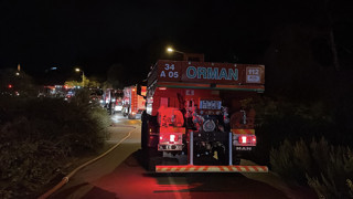 İstanbul Beykoz'da orman yangını