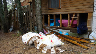 İnsanların pisliği yüzünden ayılar Türkiye'nin kış turizmi cennetini alt üst etti!