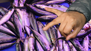 Satın aldığı balık bayat çıktı, iade etmek isteyince balıkla darp edildi!