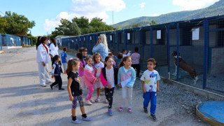 Bodrum Belediyesi Sokaklardaki Dostlarının Yanında