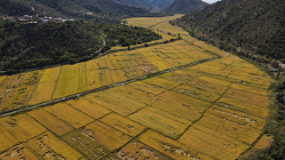 220 dekarlık milli servet boş boş duruyordu... Müjdeli haber geldi!