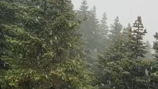 Kış turizminin cennetine ilk kar taneleri düştü...