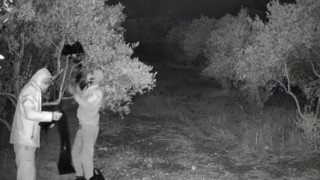 Define hayali jandarmanın baskınıyla son buldu