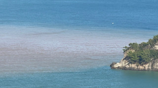 Karadeniz sahilinden korkutan görüntü: Masmaviydi, çamura bulandı!