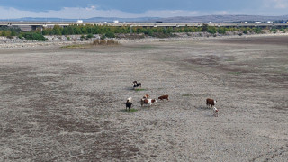 Uzmanların ''deprem kadar yıkıcı olacak'' dediği kabus İstanbul'da gerçek oldu!