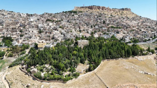 Bir şehri kaderine terk etmedi, tam 3 bin fidan dikip yemyeşil bir orman yarattı!