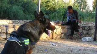 Hiç yanından ayırmadığı köpeği kahramanı oldu