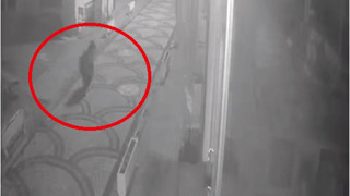 Aç kalan ayılar kış uykusu öncesi mahalleyi bastı!