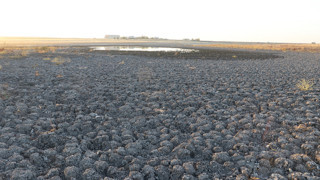 Türkiye'nin bir cenneti daha son günlerini yaşıyor: 4'te 3'ü yok oldu!