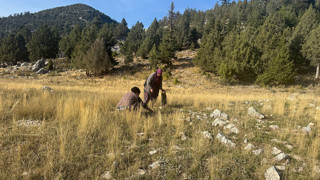 Doğanın içerisinde şifa kayanğı lezzet için iz sürme sezonu başladı