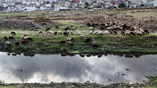 İstanbul'un bir zamanlar nazar boncuğuydu... Şimdi ise çöplüğe dönüştü!