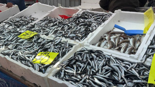 Karadeniz ve Marmara'nın altınında bolluk dönemi: Fiyatı 70 TL'ye kadar düştü!