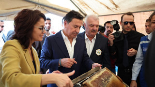 Muğla’da Çam Balı Hasadı Coşkuyla Kutlandı