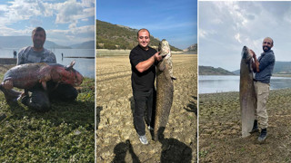 Dev balıkları kıyıdan avlıyorlar! Buraya uğrayan eli boş dönmüyor