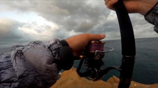 Oltasına takılan dev balıkla 3 saat mücadele etti