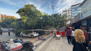 Kökünden sökülen dev ağaç 5 aracın üzerine devrildi