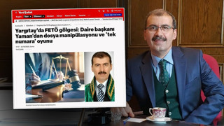 Yargıtay Daire Başkanı'ndan Yeni Şafak'a: ''Düzenli aşıları yapılmadan sokağa salınmış güruh!''