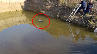 Su dolu çukurda kadın cesedi bulundu