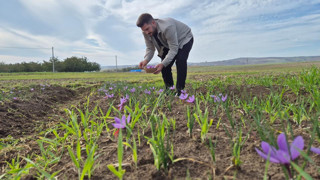 Ona boşuna ''kırmızı altın'' denilmiyor: Kilosu 600 bin TL!