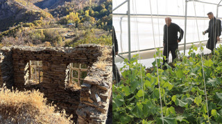 Teröristlerden temizlenen köylerine geri dönüp, üretime başladılar