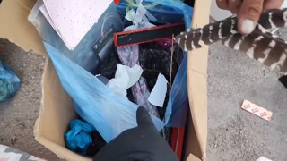 Biz çöp diye atıyoruz, onlar toplayıp servet kazanıyor...