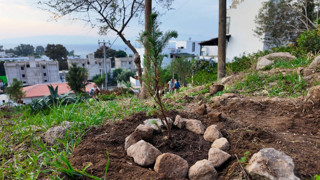 Bodrum Belediyesi Çocukları Doğayla Buluşturdu
