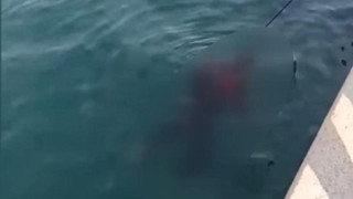 İstanbul Boğazı'nda korkunç olay! Balıkçıların oltasına takıldı
