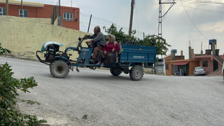 Doğada kendiliğinden yetişiyor, köylülere gelir kapısı oluyor! Kilosu 11 TL