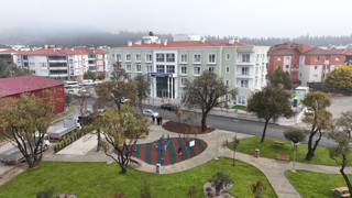 Muğla’da Yaş Almış Çınarlara Yeni Bir Yuva Başvurular Başladı