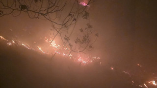 Hatay'da orman yangını; yıldırım düşmesi sonucu ormanlık alan yandı