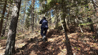 İki gündür kayıp olarak aranıyordu, cansız bedeni dere yatağında bulundu