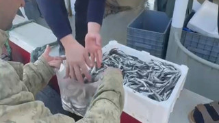 Kasasını 200 TL'ye alıp, kilosunu 200 TL'ye satınca ortalık karıştı!