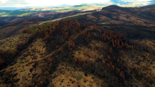 Yangınlarda cehenneme dönen 953 hektarlık cennetin son hali görüntülendi