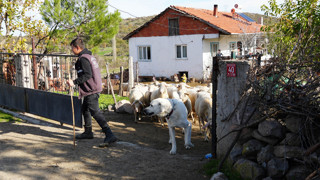 Üniversiteyi bitirip döndüğü köyünde kendi işinin patronu oldu