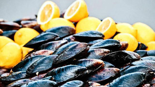 Yedikleri midyeden zehirlenen 4 arkadaş hastanelik oldu