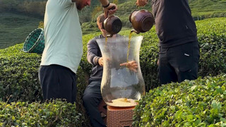 Rize'de çay tarlasındaki çılgın çekim, yapay zekayı bile kıskandırdı