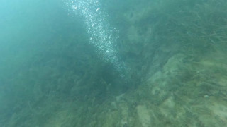 Kuraklıktan sonra fokur fokur kaynamaya başlayan Sapanca Gölü'nün dibine inildi